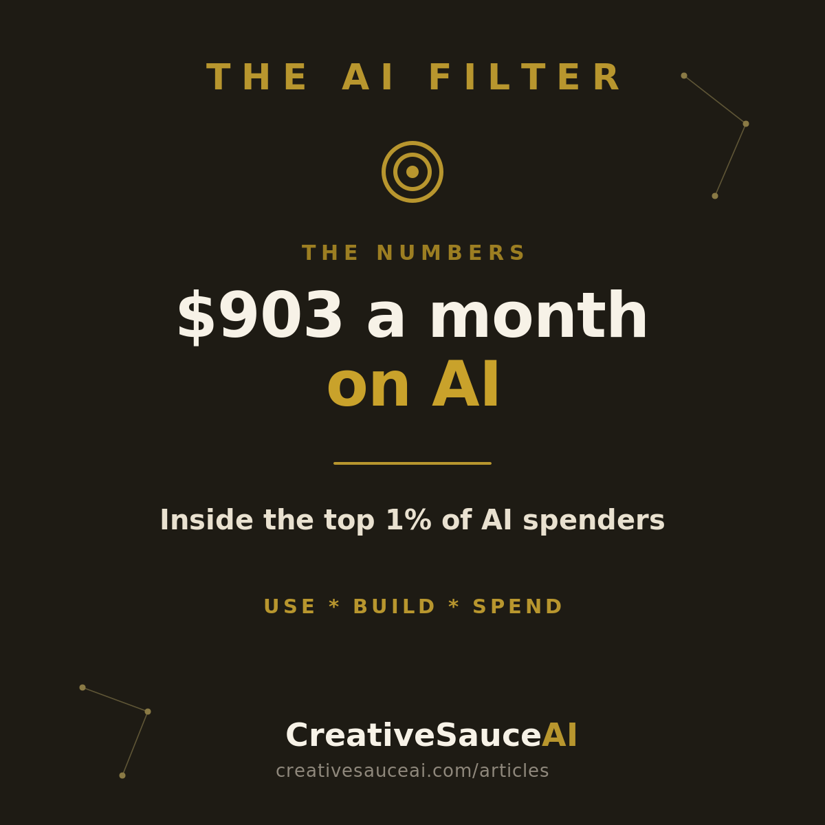 AI is not mainstream yet. A small group of power users is spending a fortune on it.